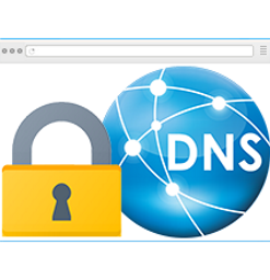 DNS Lock 1.5 - Full Version