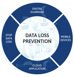 Trellix Data Loss Prevention Endpoint 11.10.5.5 + Extension - Full Version