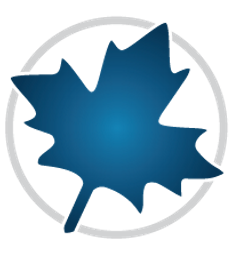 Maple Flow 2022.2 - Full Version