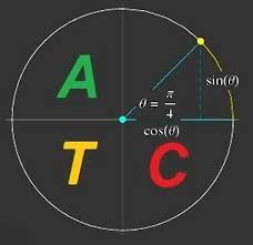 Advanced Trigonometry Calculator 2.1.3 - Full Version