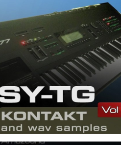 Amazound - SY-TG  - Full Version