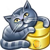 AnySQL Maestro Professional 16.12.0.15 - Full Version