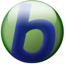 Babylon Pro NG 11.0.1.6 - Full Version