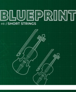 Fracture Sounds - Blueprint Short Strings  - Full Version