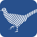 Altair newFASANT 6.3.2020.07.20 - Full Version