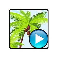 Alternate Pic View 3.470 - Full Version