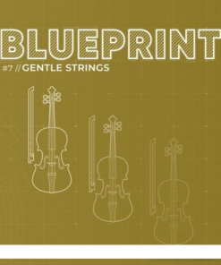 Fracture Sounds - Blueprint Gentle Strings  - Full Version