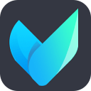 Vidmore Video Converter 1.3.56 - Full Version