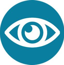 Steelray Project Viewer 6.22.1 - Full Version