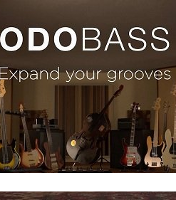 IK Multimedia - MODO BASS 2 v2.0.3 - Full Version