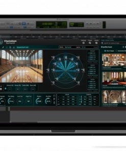 Accentize - Chameleon Surround v1.0.2 - Full Version