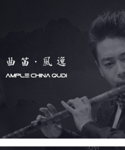 Ample Sound - Ample China Qudi 1.5.1 - Full Version
