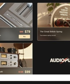 Audiopunks - Everything bundle 1.2.2 - Full Version