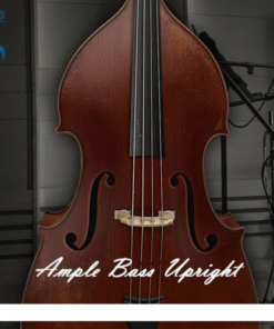 Ample Sound - Ample Bass Upright 4.0.1 - Full Version