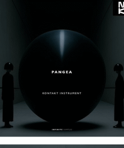 Infinite Samples - Pangea 1.3.12 Full - Full Version