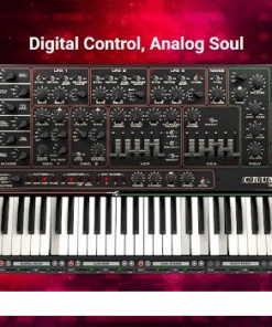 Cherry Audio - DS-2 v1.0.3.38 - Full Version